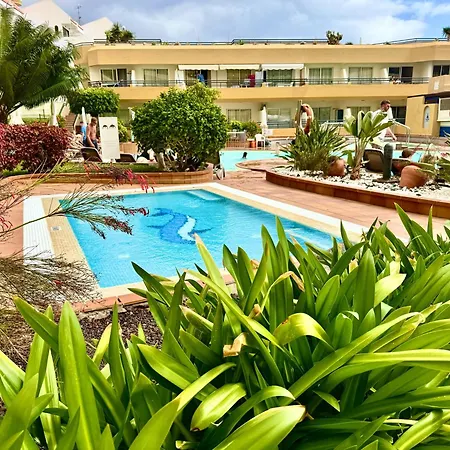 Fanabe Paradise - Artistically Designed